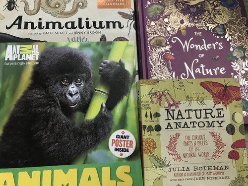 descriptive drawing exercise for kids - animal books