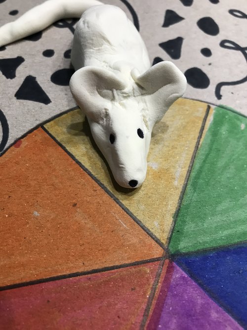 model magic color wheel - my rat
