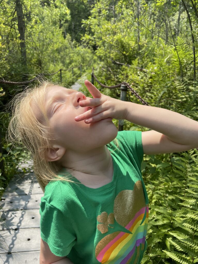 beatrix potter art project - picking berries
