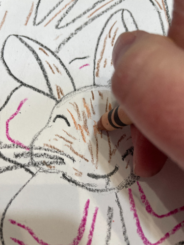 beatrix potter art project - adding details